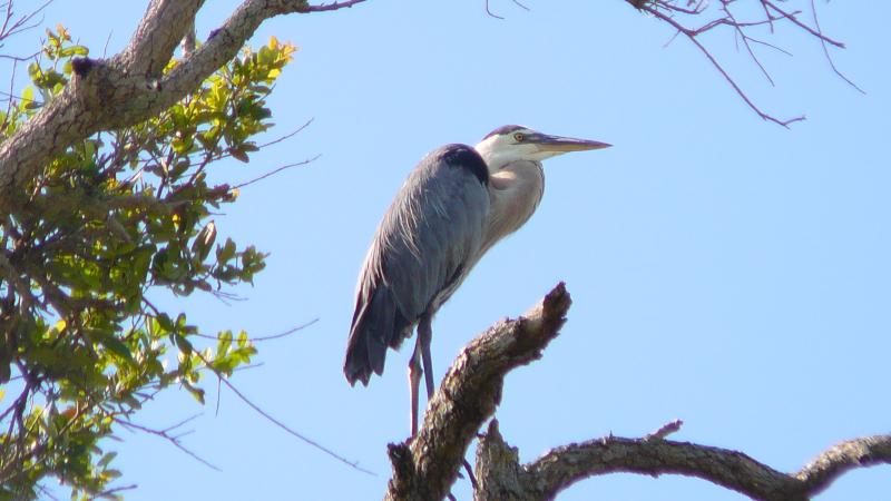 Experience - Wildlife Viewing